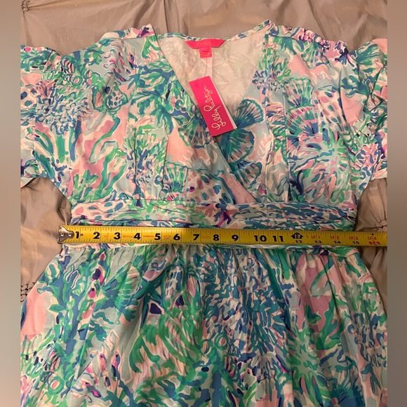 Lilly Pulitzer Dress - Picture 11 of 11